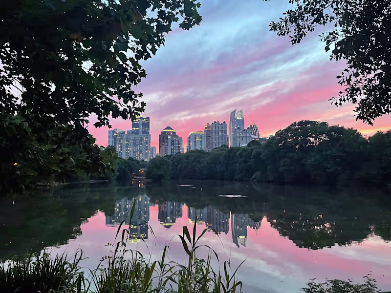 Cover image for Documenting the days of our lives