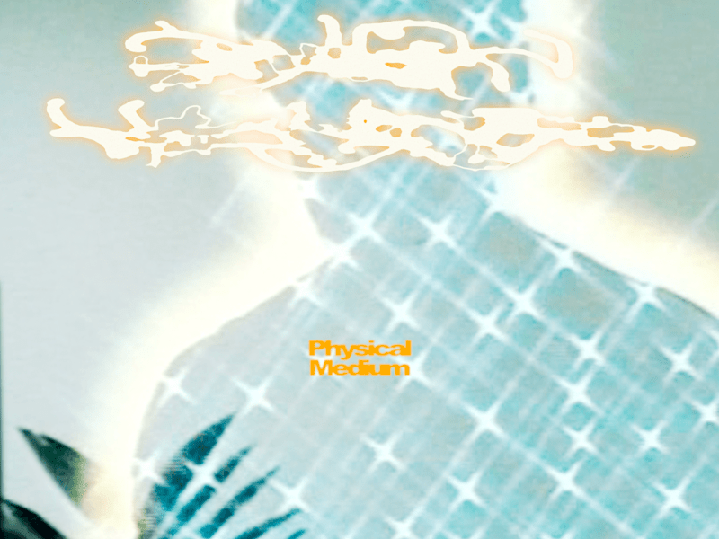 Cover image for Physical Medium Cover