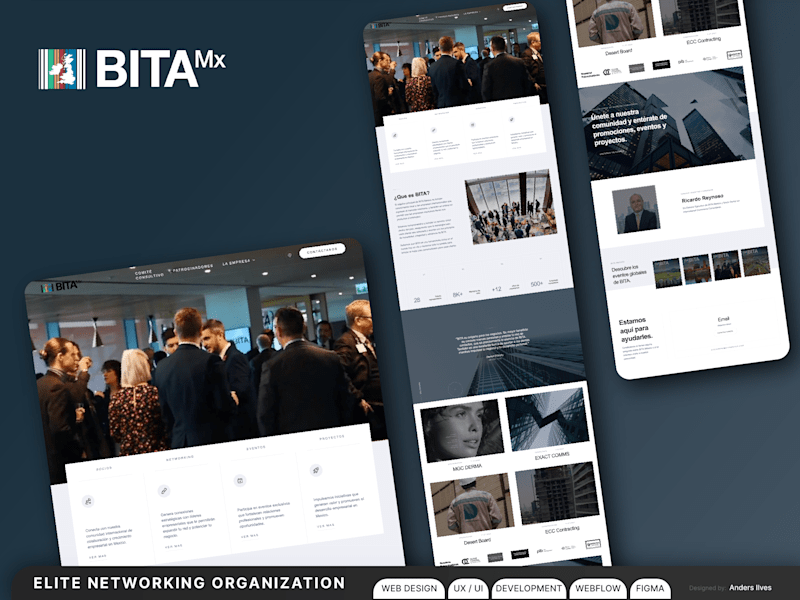 Cover image for BITA Mexico Website Development