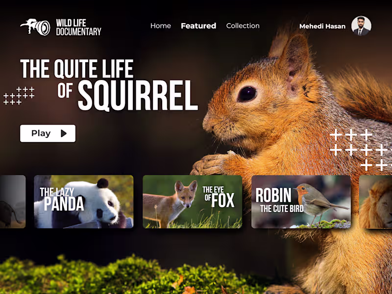 Cover image for Enjoy The Nature Beaty😍 