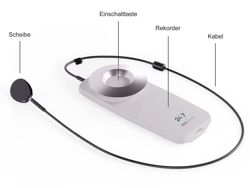 Cover image for 3D Visualization and animation