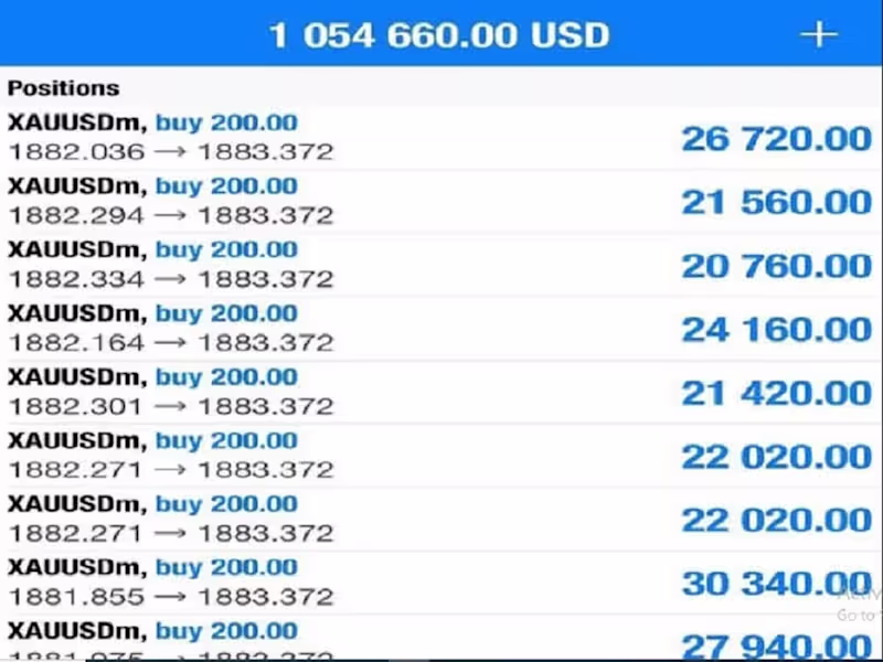 Cover image for Do Forex account management and make you good profit