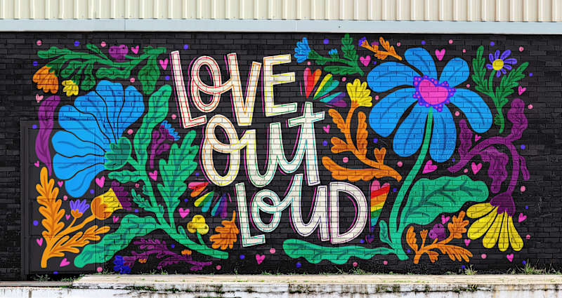 Cover image for Murals
