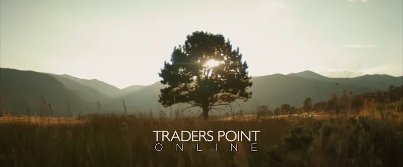 Cover image for Traders Point Online // Promo