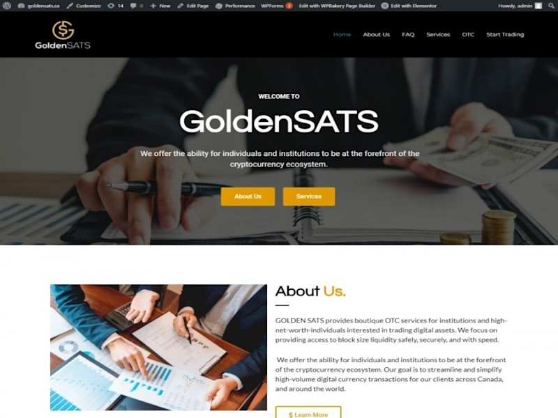 Cover image for Golden Sats