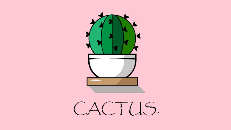 Cover image for Cactus Plant.