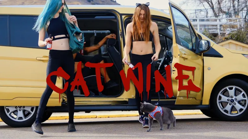 Cover image for Cat Wine - IamMSHO