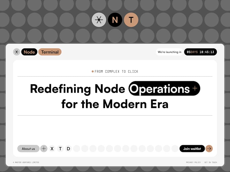 Cover image for Node Terminal [Visual Identity to Framer]