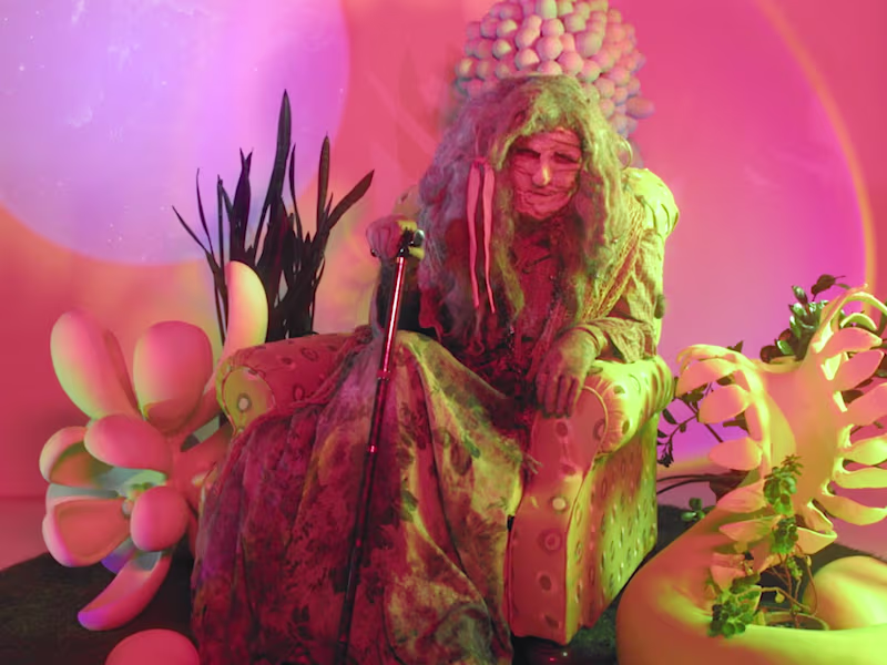 Cover image for Video Coloring and Conform