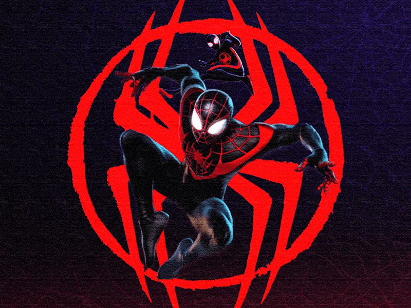 Cover image for Who Loves Heroes?