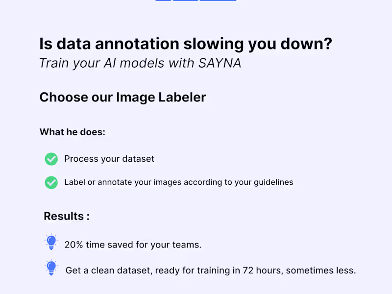 Cover image for 500 High-Quality Data Annotations for AI Training 