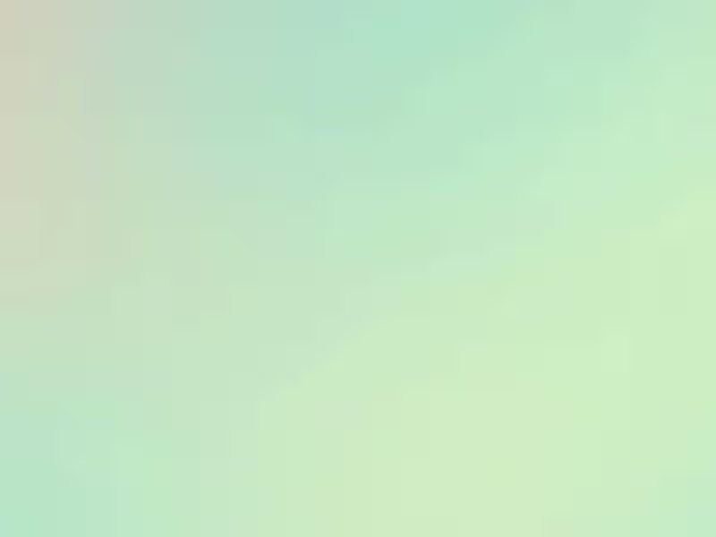 Cover image for Shopify Managed Services