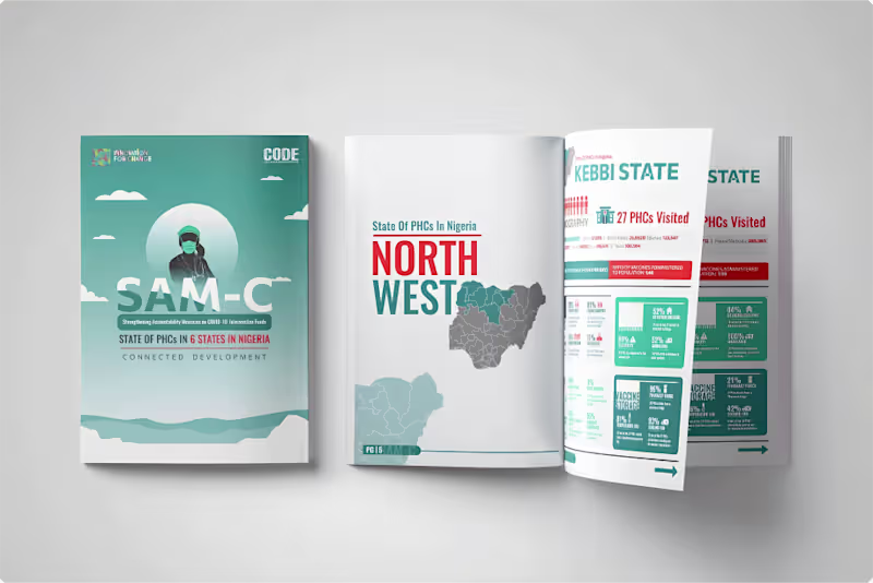 Cover image for I designed the visual report for the Strengthening Accountab...