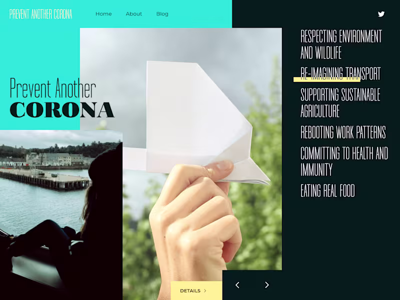 Cover image for Custom Web App Development for Scalable, Interactive Solution