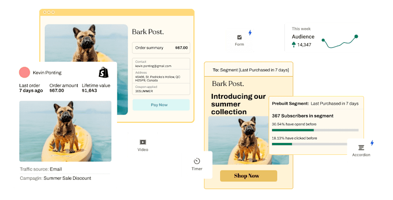 Cover image for Easy Email Marketing for ECommerce - tinyEmail® Marketing Autom…
