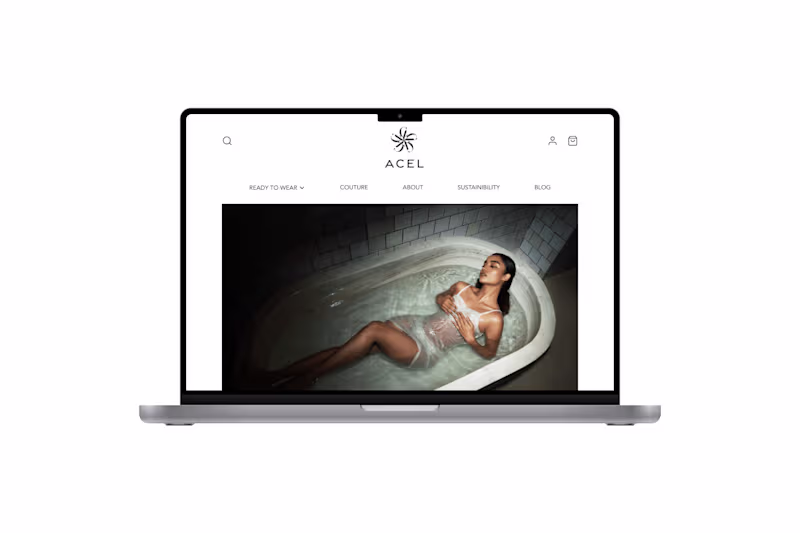 Cover image for Acel