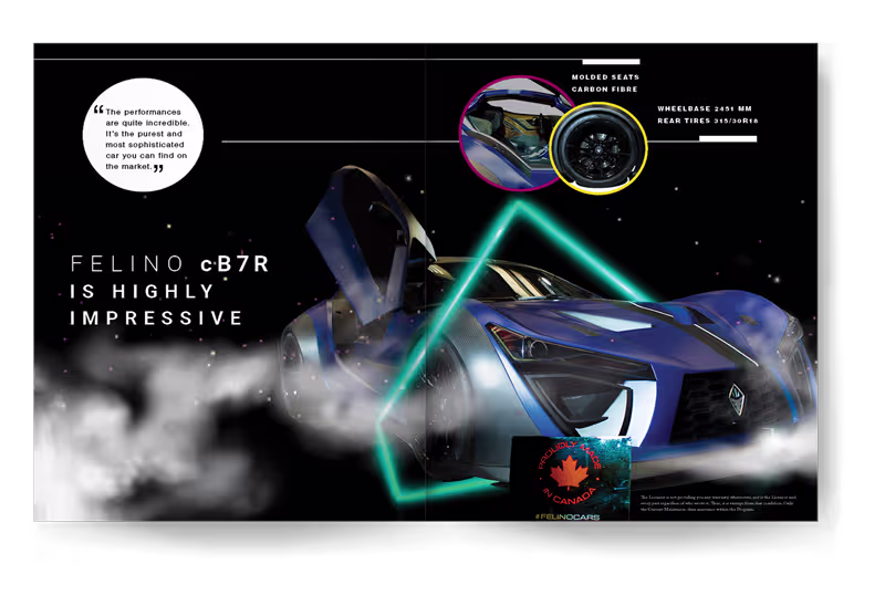 Cover image for Carliberate