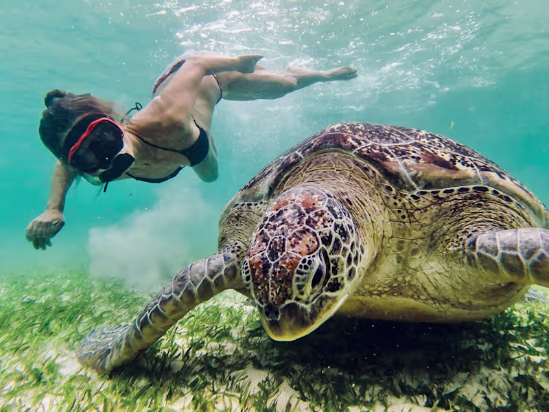 Cover image for Photography Content Creation