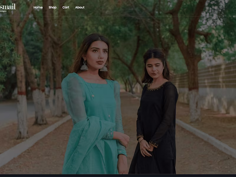 Cover image for Amna Ismail