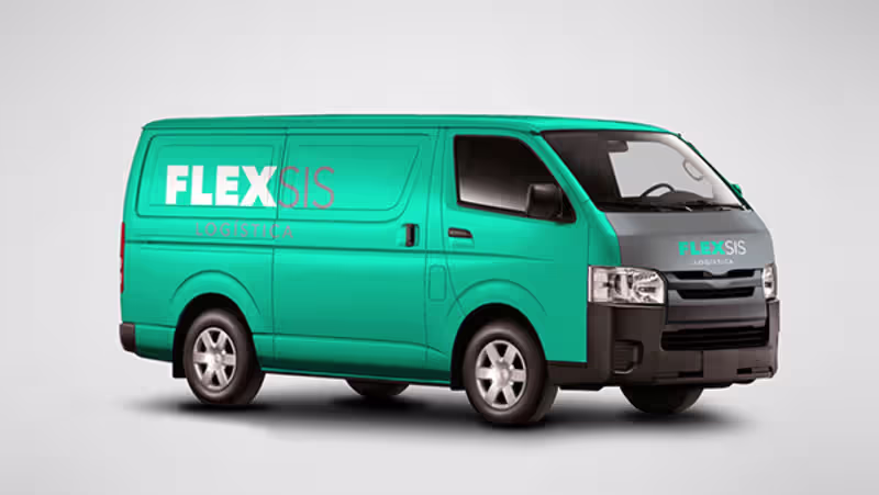 Cover image for FLEXSIS