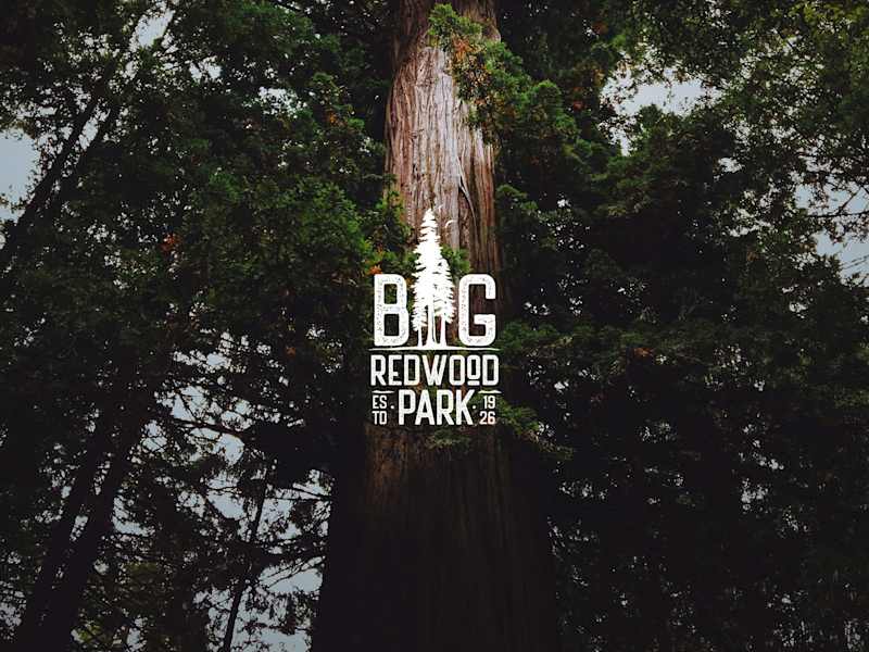 Cover image for Big Redwood Park
