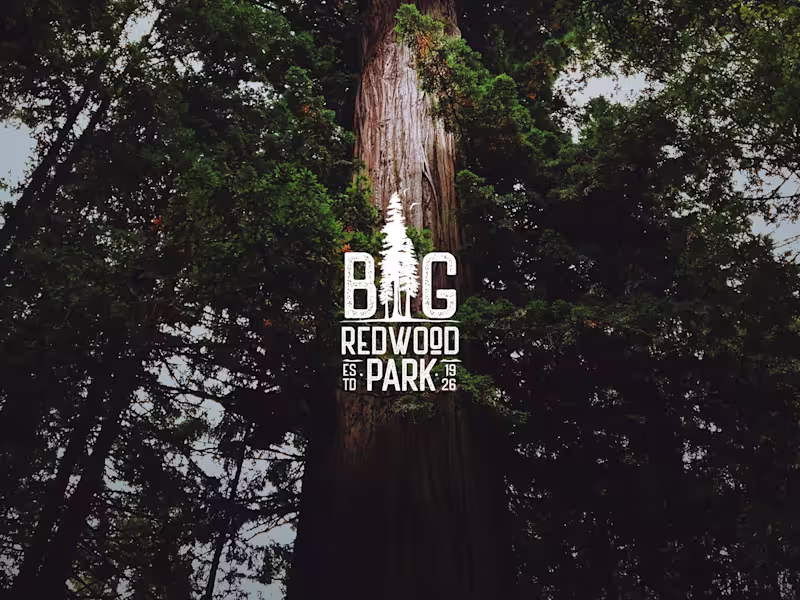 Cover image for Big Redwood Park