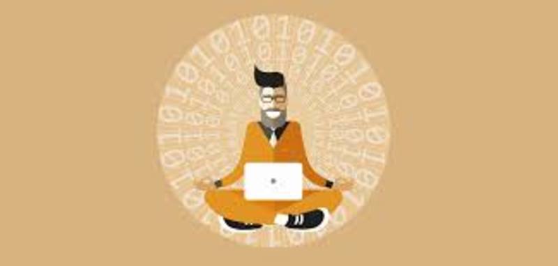 Cover image for Data Steward