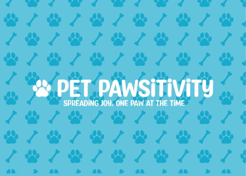 Cover image for BRAND DESIGN