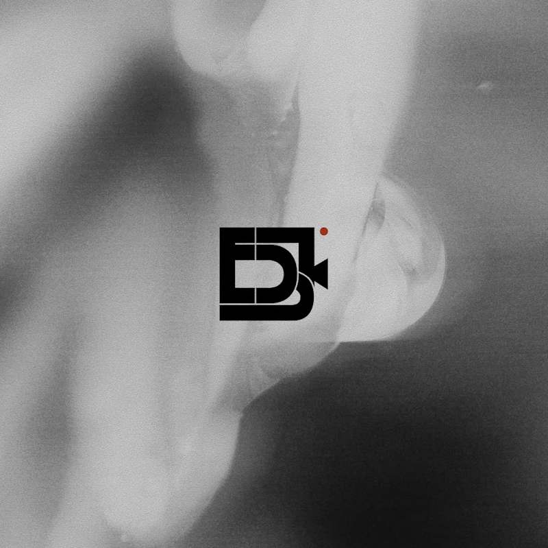 Cover image for Brand Identity Development (from logo to social media template)
