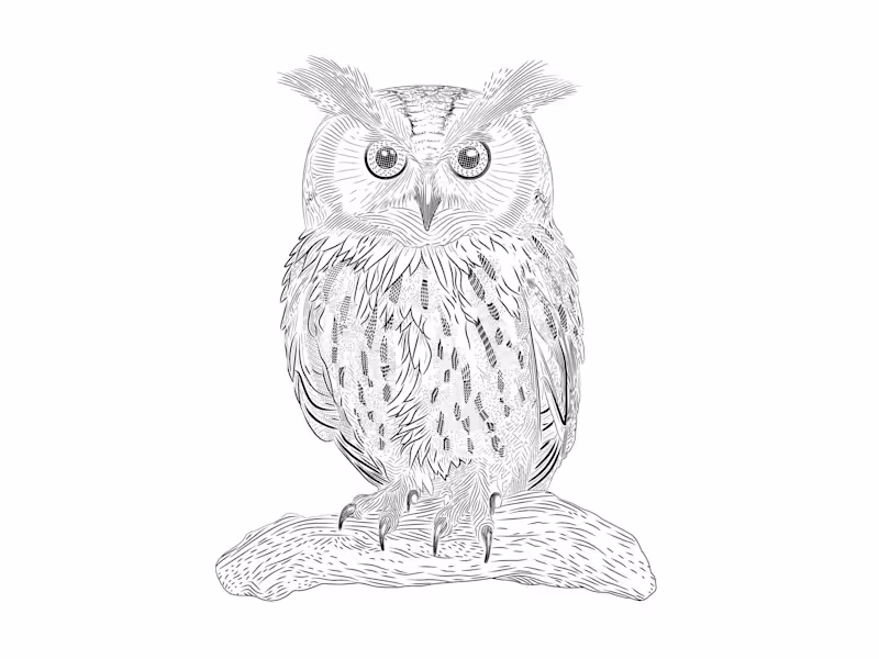 Cover image for Owl Hatching Illustration Project