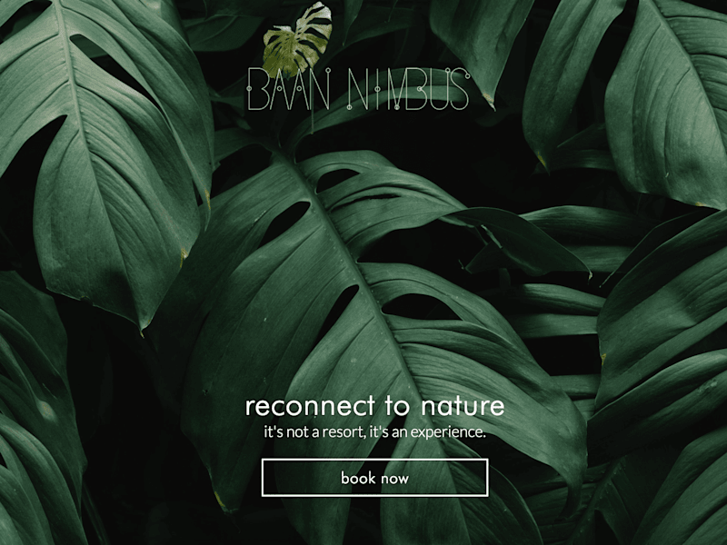Cover image for Baan Nimbus - Crafting a brand and landing page