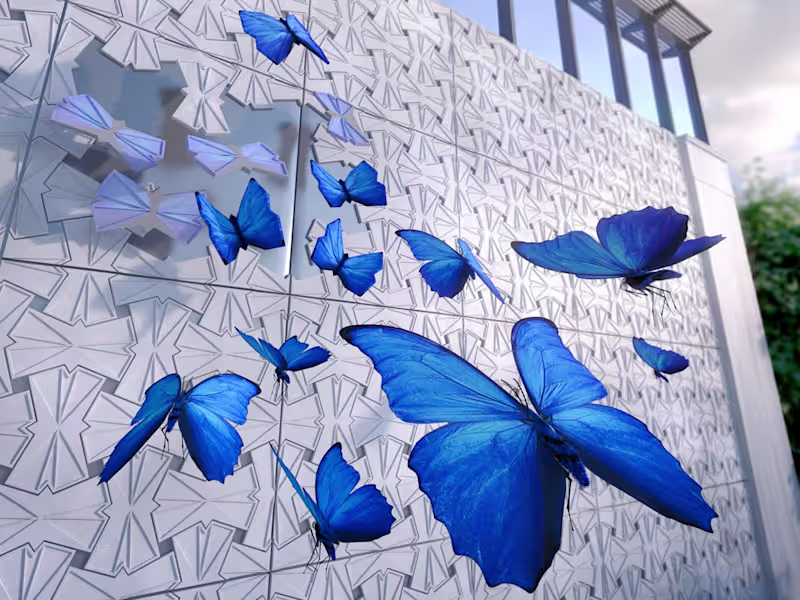 Cover image for Motion Graphics