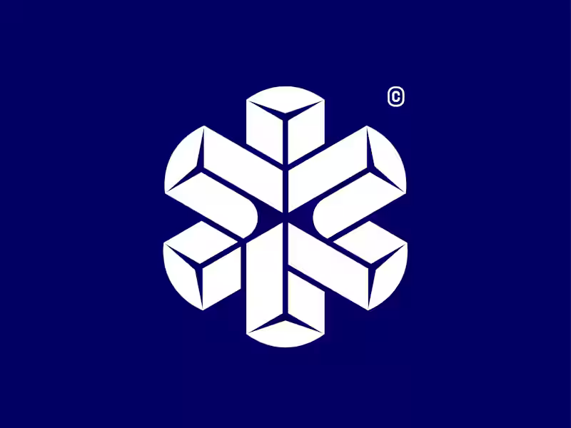 Cover image for DNDN Logistics Brand Identity Development