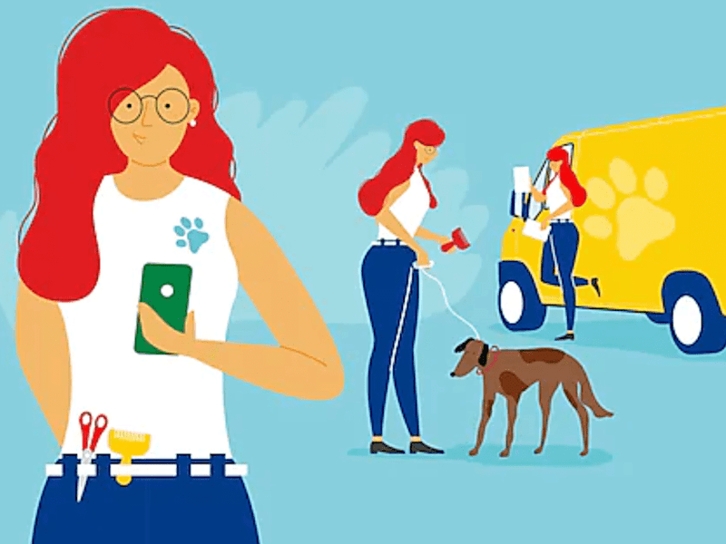 Cover image for Shell Fuel Cards for Small Businesses