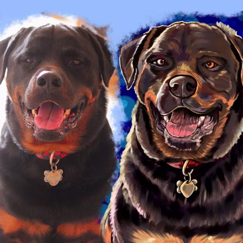 Cover image for I will paint your beautiful pet