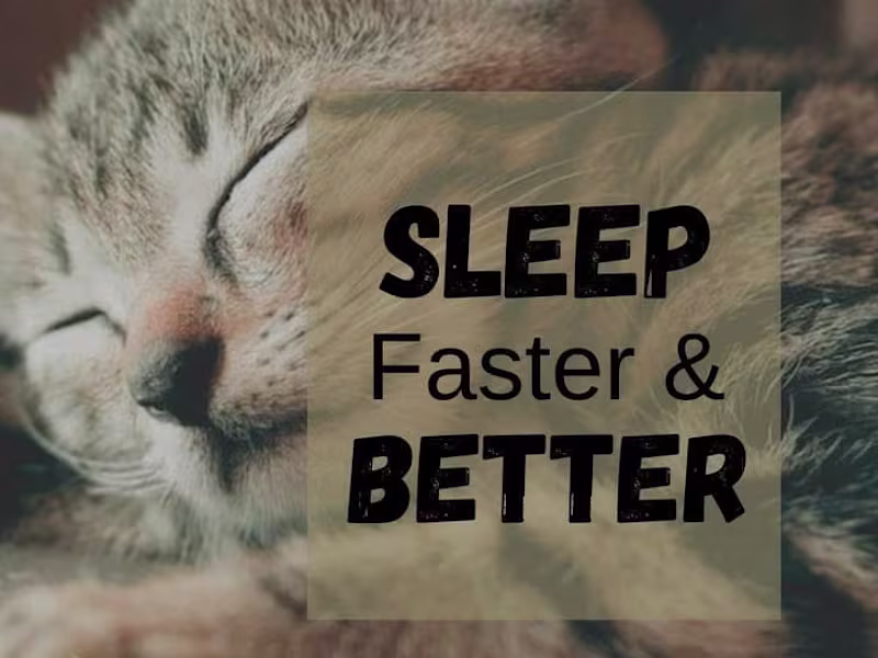 Cover image for SEO Optimized High Ranking Blog Content 