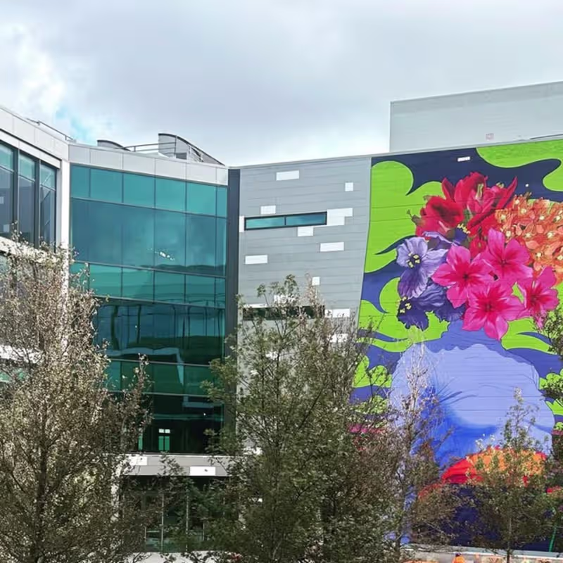 Cover image for Courtyard Mural for Karlin Real Estate Campus