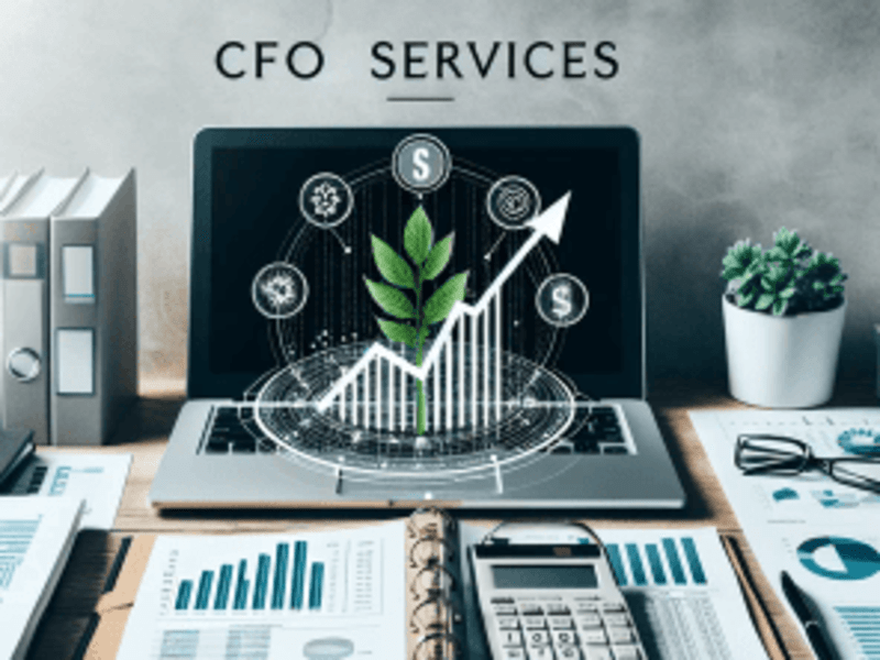 Cover image for Virtual CFO Services