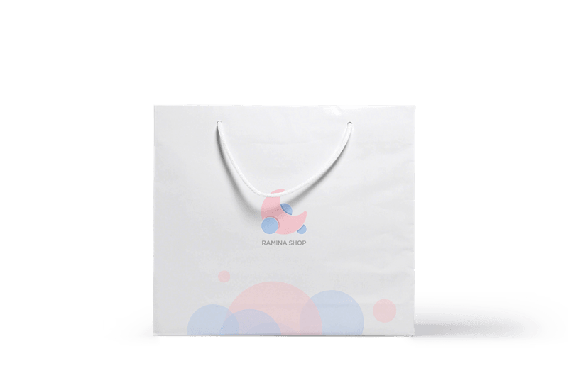 Cover image for Ramina Shop Visual Identity