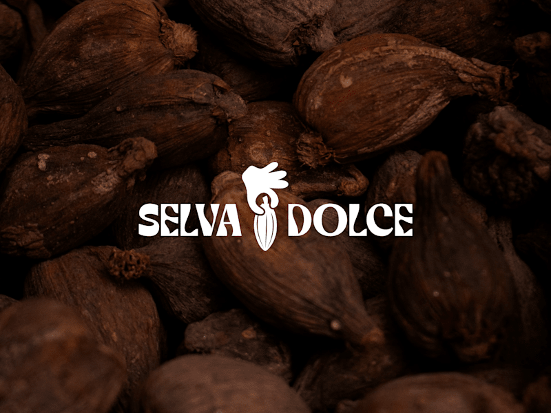 Cover image for Selva Doce Brand Identity Development
