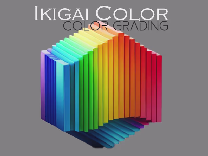 Cover image for Colorist 