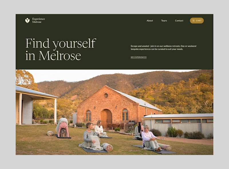 Cover image for Experience Melrose