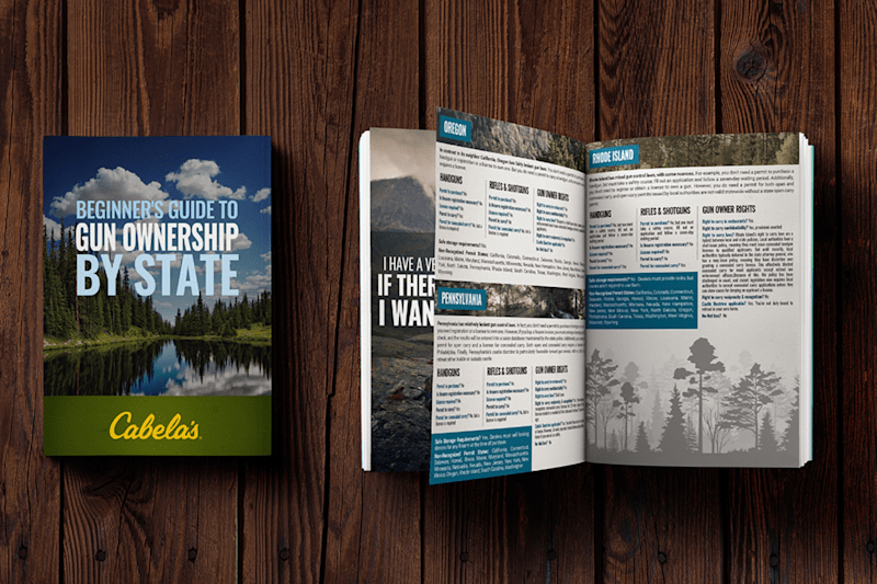 Cover image for Cabela's Guide to Gun Ownership Book
