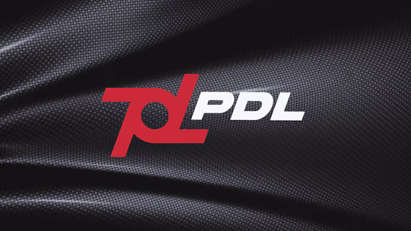 Cover image for PDL | Logo Design & Brand Identity