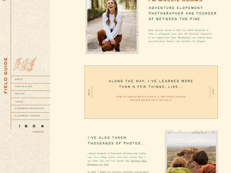 Cover image for Between the Pine