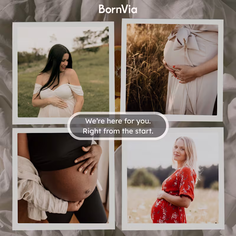 Cover image for Social media content curation and