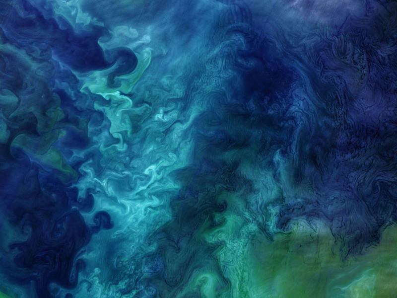 Cover image for Science Content Editing