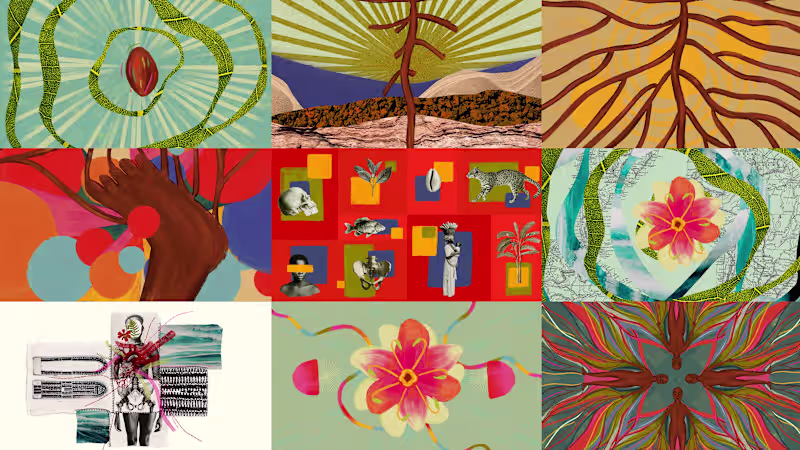 Cover image for AniMAM