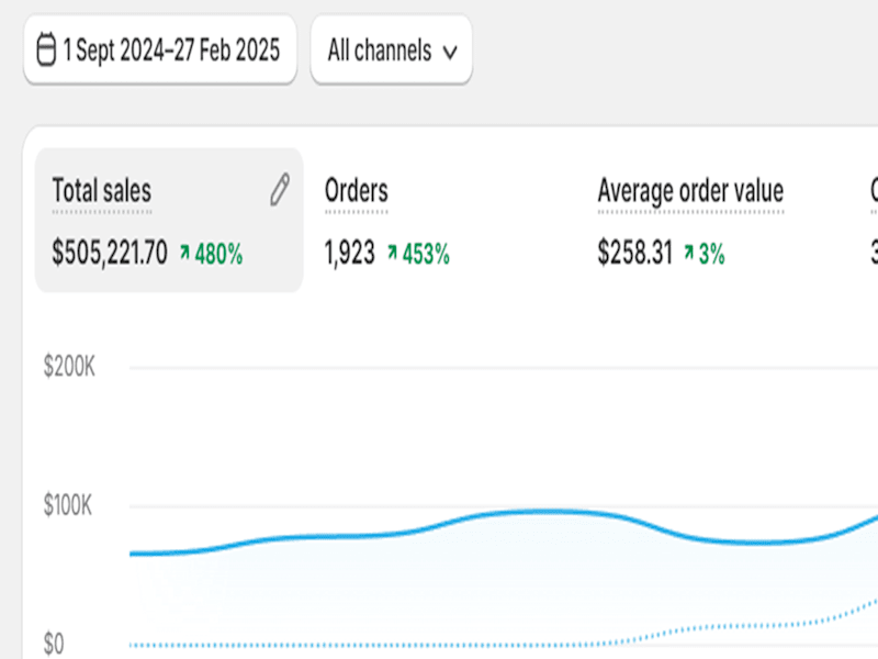 Cover image for Scaled New E-Com Brand to $505K in 6 Months via Google Ads