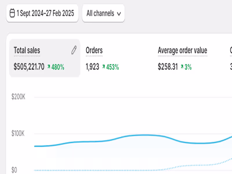 Cover image for Scaled New E-Com Brand to $505K in 6 Months via Google Ads